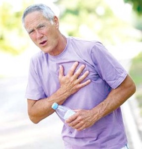 Le thé vert bio pour la protection cardio-vasculaire